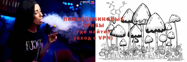 прущие грибы Зерноград