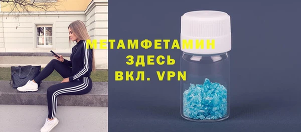 прущие грибы Зерноград