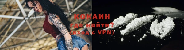 прущие грибы Зерноград
