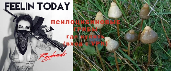 шишки Зеленокумск