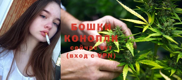 прущие грибы Зерноград