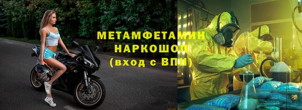 прущие грибы Зерноград
