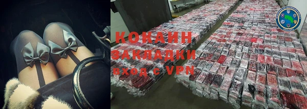 прущие грибы Зерноград