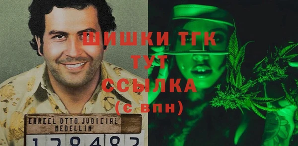 прущие грибы Зерноград