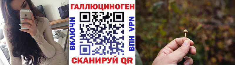 Галлюциногенные грибы Magic Shrooms  Купить  Жуков 